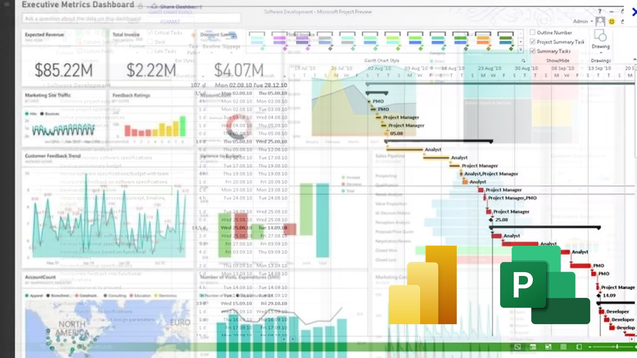 MS PROJECT & POWER BI